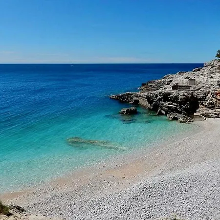 Garden With Terrace And Grill