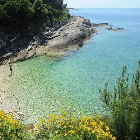 Garden With Terrace And Grill Apartment Pula
