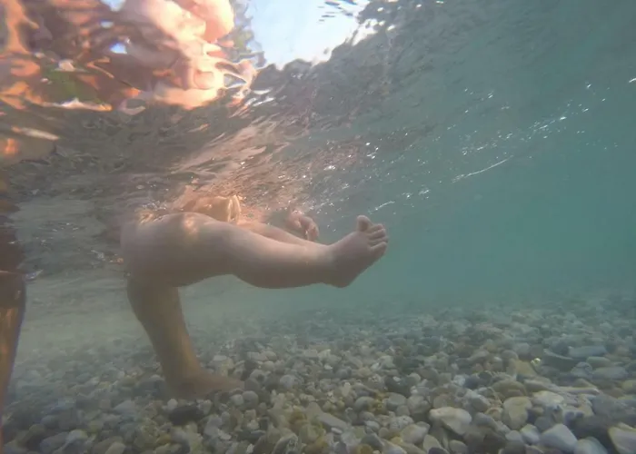 Garden With Terrace And Grill Apartment Pula