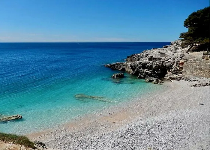Garden With Terrace And Grill
