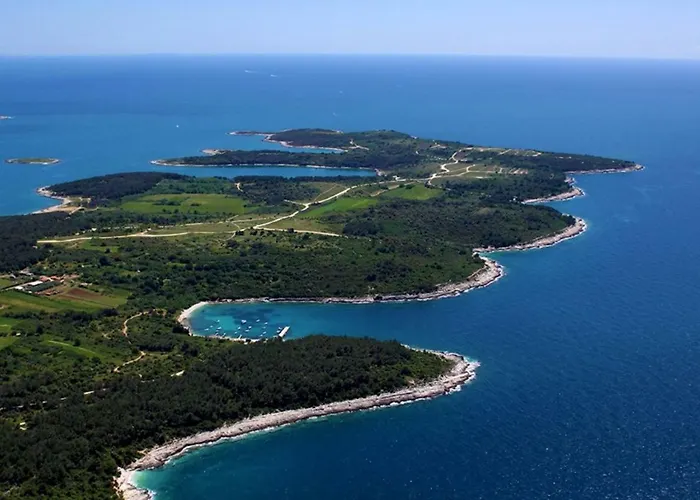 Apartment Garden With Terrace And Grill Pula
